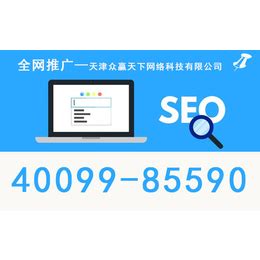 天津网站推广优化报价