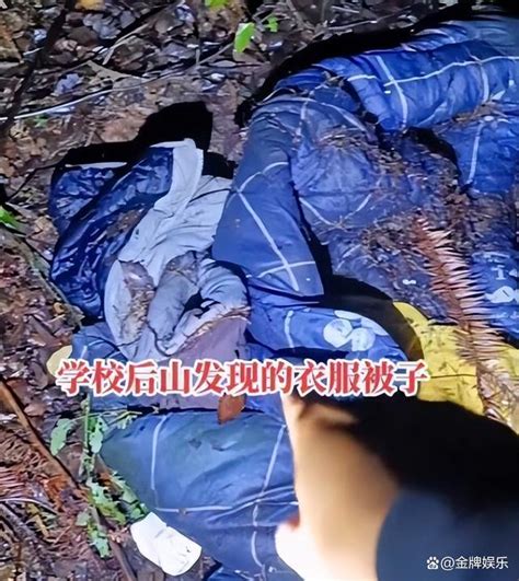 失踪15岁胡鑫宇尸体找到了吗