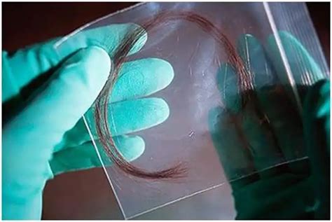 头发基因可以用来克隆吗