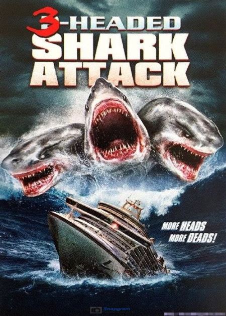 夺命三头鲨电影免费观看完整版