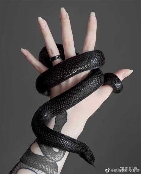 女人梦到黑色的蛇是什么征兆