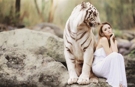 女人梦见老虎