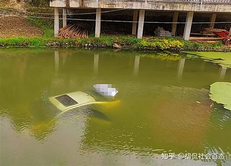 女司机倒车坠入池塘一家三口溺亡