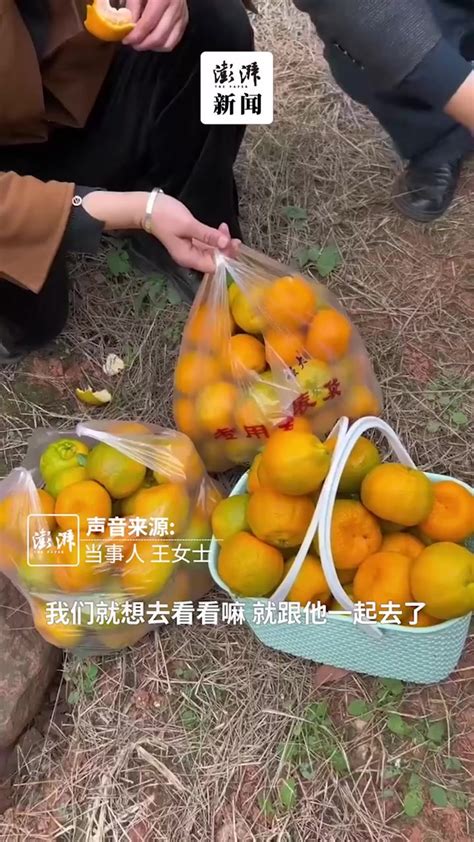 女子路边卖橙子