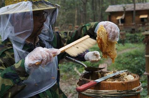 如何网上推广蜂蜜卖呢