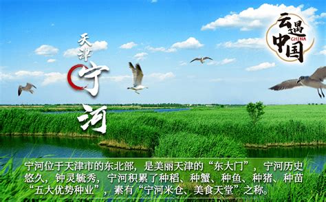 宁河区网站推广计划
