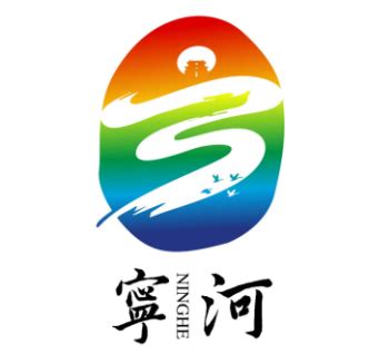 宁河品牌网站设计