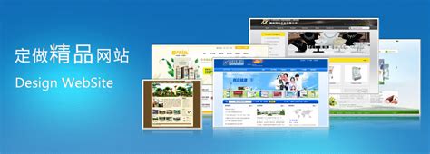 安庆专业的网站建设服务