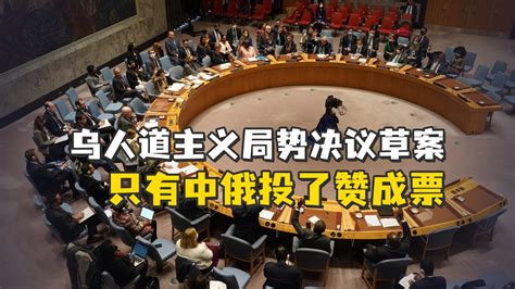 安理会涉乌投票中国首次投赞成票