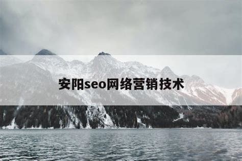 安阳seo网络营销优化公司