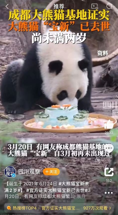 官方谈熊猫宝新死因