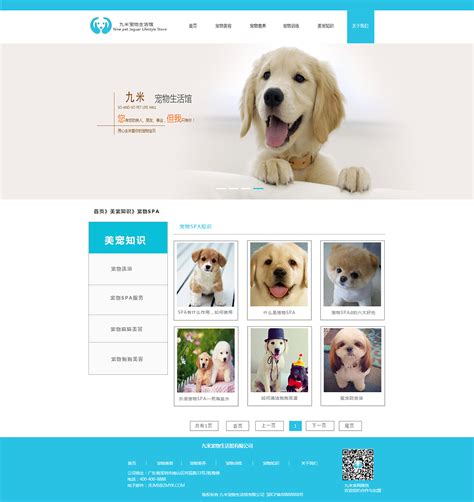 宠物公司首页网页设计