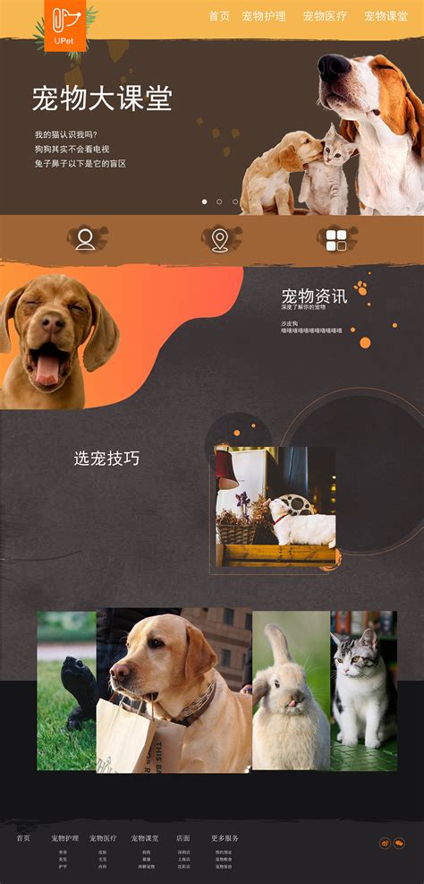 宠物的网页设计模板图