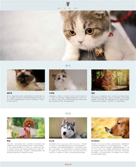 宠物网页设计模板代码免费