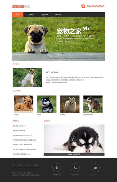 宠物领养网站设计参考文献有哪些