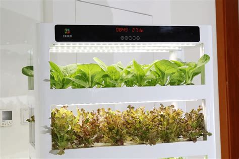 家庭自动种植蔬菜机