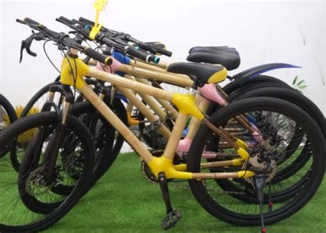 小伙用竹子做的自行车