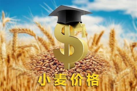 小麦价格最新走势预测