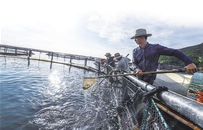 山东渔业捕捞手续