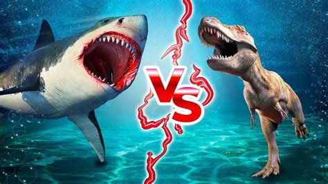 巨齿鲨vs霸王龙