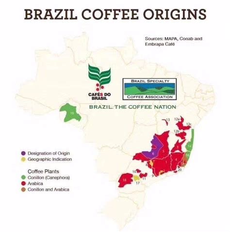 巴西咖啡示意图