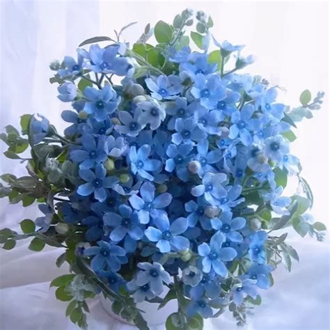 带有刺的蓝色花叫什么