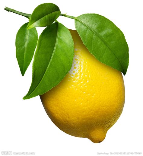 带柠檬的名字大全