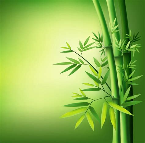 带竹子的微信头像图片