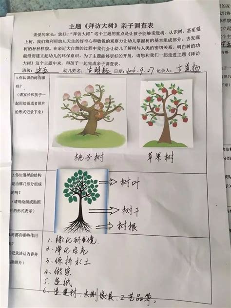 幼儿园拜访大树调查记录表模板