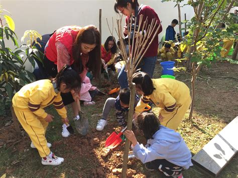 幼儿园植树节创意活动方案