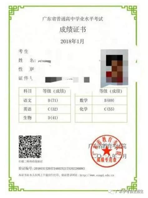 广东学考成绩证书打印链接