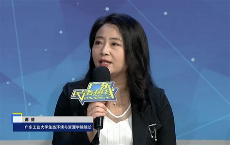 广东教育网站优化热线