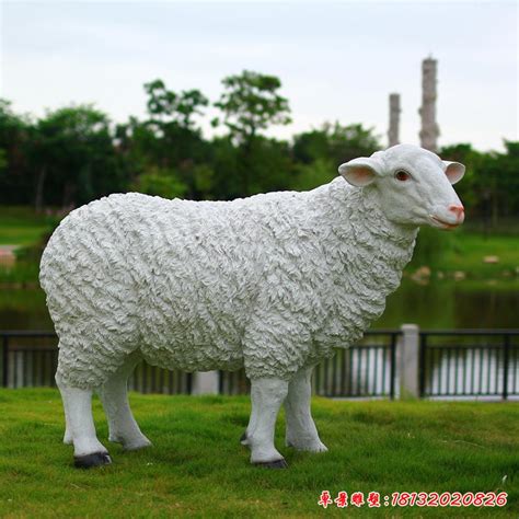 广东玻璃钢小羊动物雕塑景观装饰
