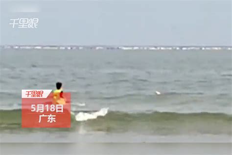 广东珠海跳海轻生事件