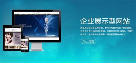 广州专业网站建设方案