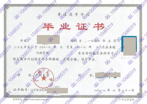 广州大学毕业证证件照