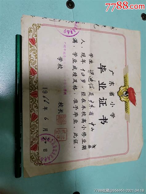广州小学毕业证