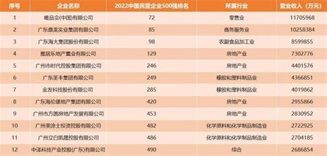 广州民营企业100强2022