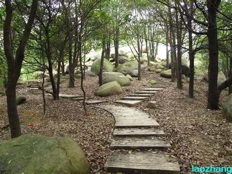 广州龙洞森林公园图片