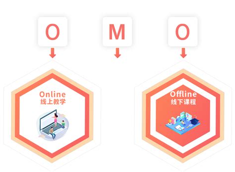 广州omo教育推广收费