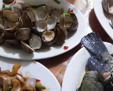 广西北海游客点四个菜1500