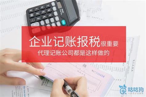 广西柳州企业记账报税