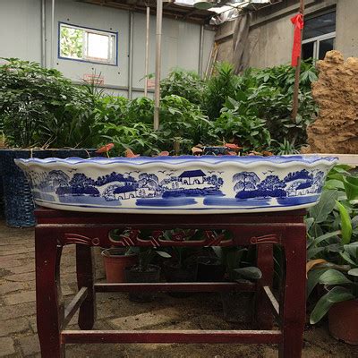广西柳州市哪里有批发花盆