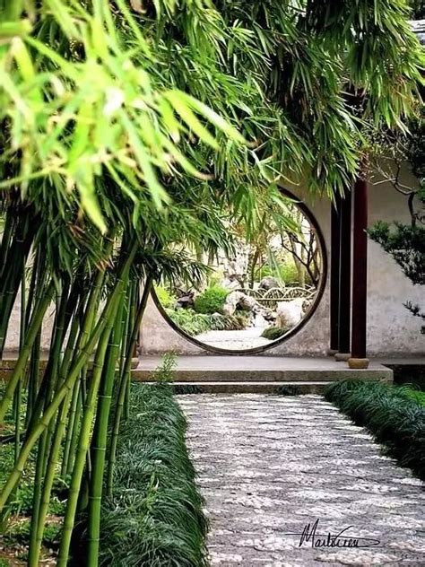 庭院风景竹