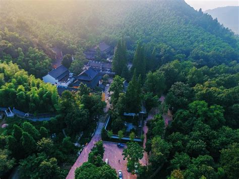 彩色森林养生旅游景区酒店
