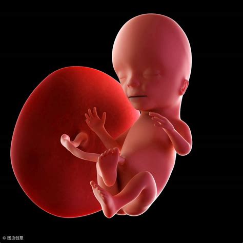 怀孕13周胎儿高清图片