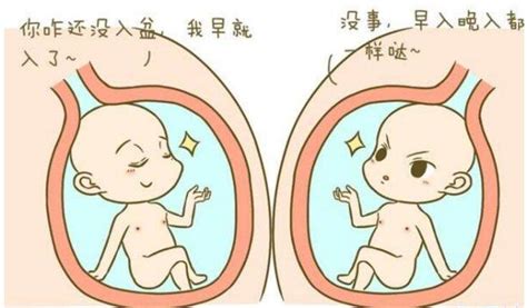 怀孕38周胎儿入盆图