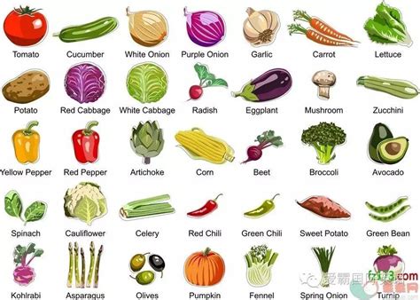 怎么起蔬菜名字