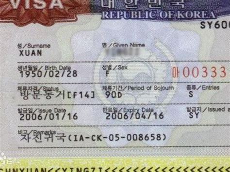 怎样办韩国10年签证