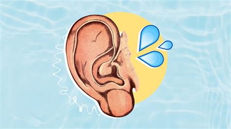 怎样把耳朵里的水排出来